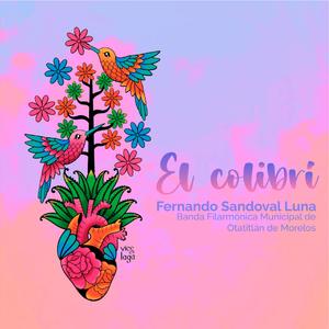 EL COLIBRÍ (En vivo)