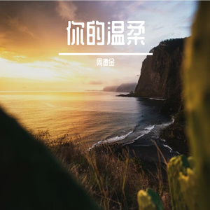 你的温柔