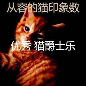 柔和的猫时刻