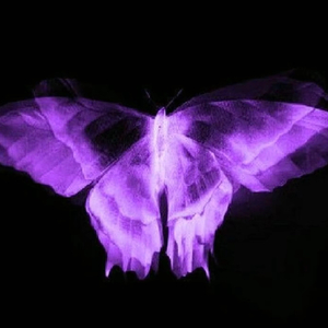 Fantasy Love