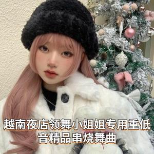 DJ国飞-越南夜店领舞小姐姐专用重低音精品串烧舞曲（DJ国飞 remix）