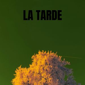 LA TARDE