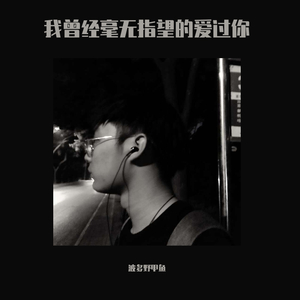 我曾经毫无指望的爱过你