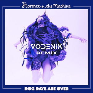 Florence + The Machine - Dog Days Are Over (Vodenik Remix)