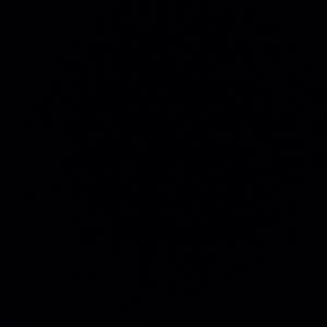 sunflower feelings（翻自 kuzu mellow）