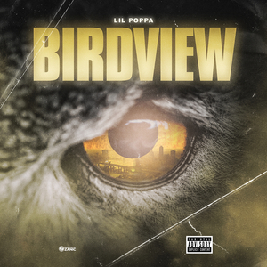 Birdview