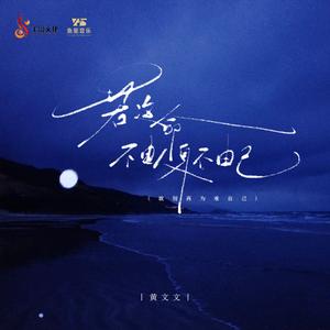 若这命不由人身不由己 (车载3D环绕版)