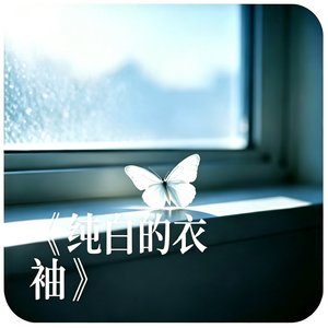 纯白的衣袖