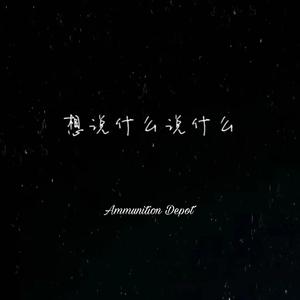 想说什么说什么