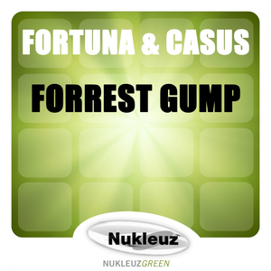 Forrest Gump (Bar Mix)