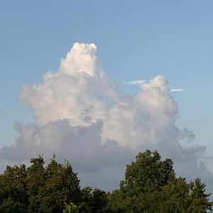 09