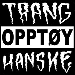 Opptøy