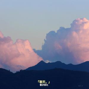 残月与鲜花