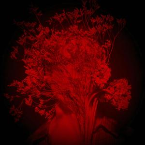 Suddenly (feat. DBD Halo)