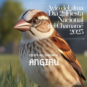 Trasnochados Espineles (En Vivo)