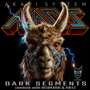 Segments (Neumann Remix)