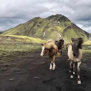 Living For The Moment（0.83x.）