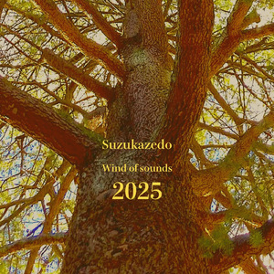 Wind of sounds 2025 m1