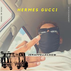 Hermes Gucci