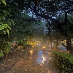 where the wild things should be