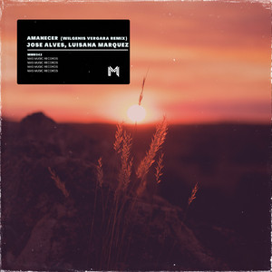 Amanecer (Wilgenis Vergara Remix) (Remix)