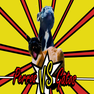 Perros y gatos