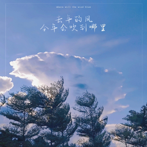 去年的风 今年会吹到哪里