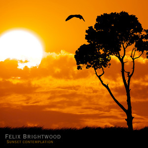 Sunset contemplation