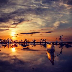 Potter (Instrumental)