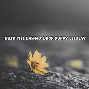 Dusk Till Dawn x Drop Puppy Lelolay