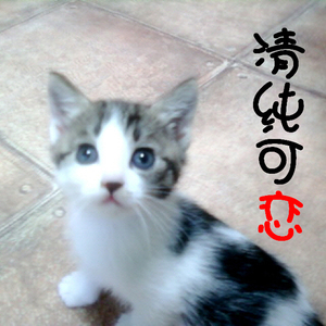 삼단변신우주선(Inst.)