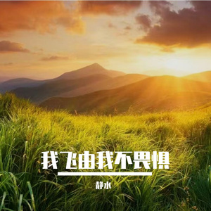 我飞由我不畏惧