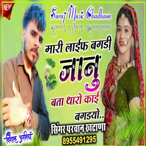 मारी लाईफ बगडी जानु