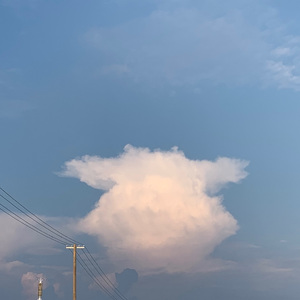 我是真的真的很爱你