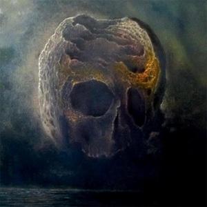 The View from my Ivory Tower