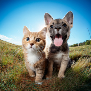 Confort Firme Y Tranquilidad