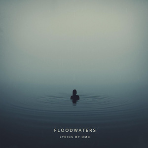 Floodwaters