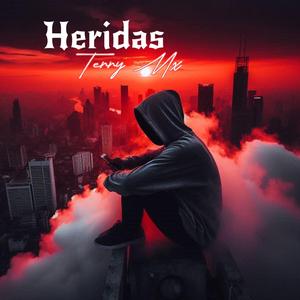 Heridas