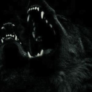 DOG. (feat. max hill)