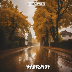 Raindrop