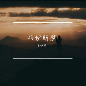 可惜不是你