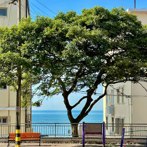 青春进行时（毕设《快门与休止符》主题曲）