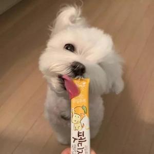 低空飞行(Demo)（翻自 沈以诚）