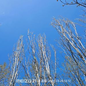 孤独的野人-你眼里有整片星群（孤独的野人 remix）