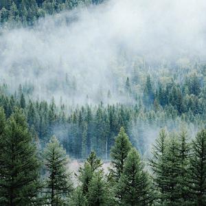 我喜欢上你时的心理活动（翻自 陈绮贞）