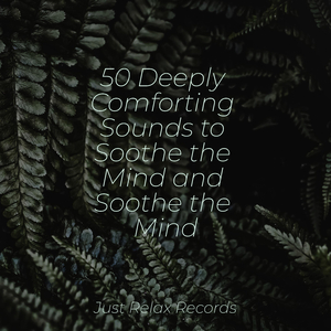 Desert's Secret Song