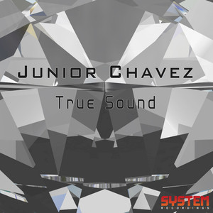 True Sound (Original Mix)