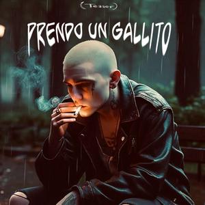 Prendo un gallito (Teaser)
