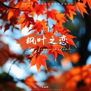 枫叶之恋