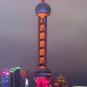 每天和你